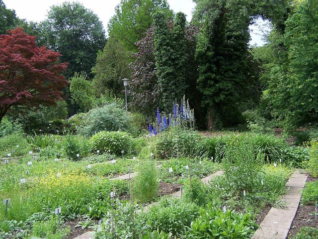 Old Botanical Garden of Göttingen University